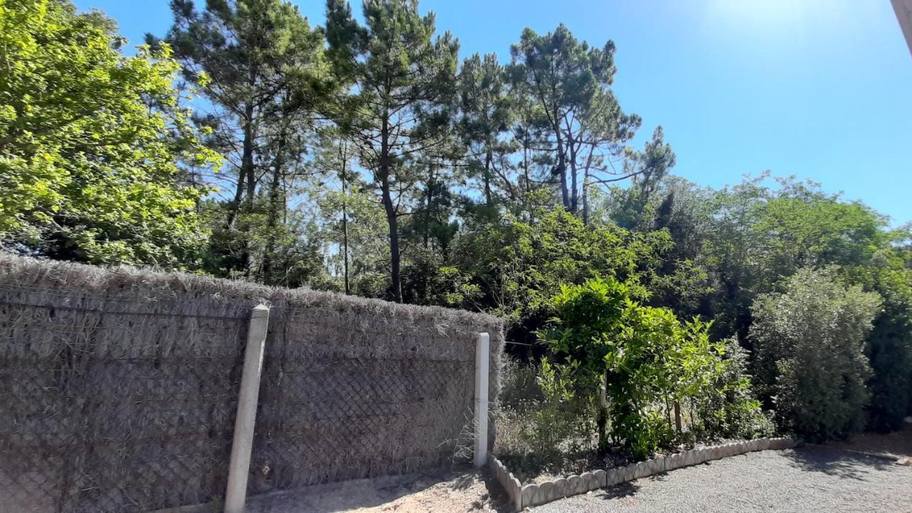 La Foret Des Rossignols - Maison 2 Chambres, Jardin Et Terrasse Saint-Jean-de-Monts Ngoại thất bức ảnh
